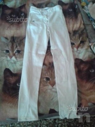 giacca e pantaloni equitazione foto-14668