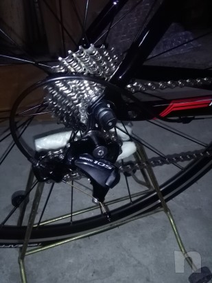 bdc colnago  foto-14837