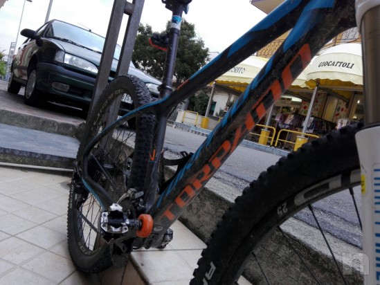 Torpado nearco n foto-14953