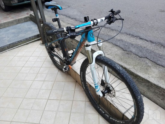 Torpado nearco n foto-14954