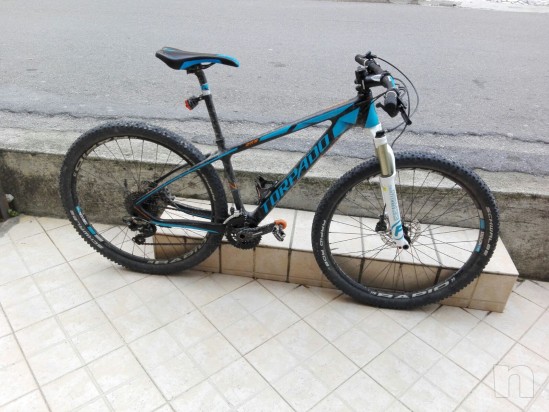 Torpado nearco n foto-8264