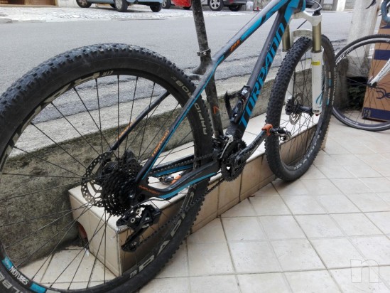 Torpado nearco n foto-14955