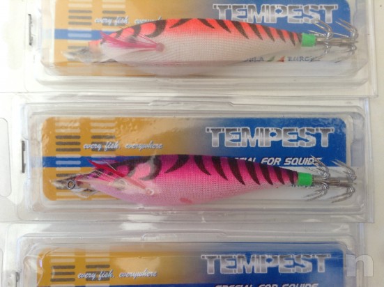 Totanare Tempest traina foto-15535