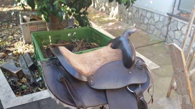 Sella per bambini foto-15642