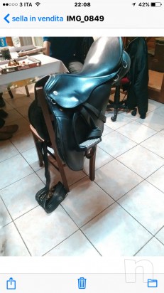 Sella Kieffer pharao  foto-15672