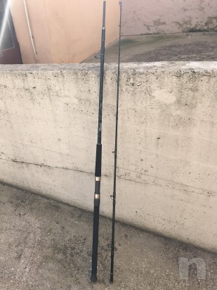 Canna Leitner 2.75 mt x Siluro foto-8682