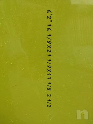 tavola surf fish foto-1177