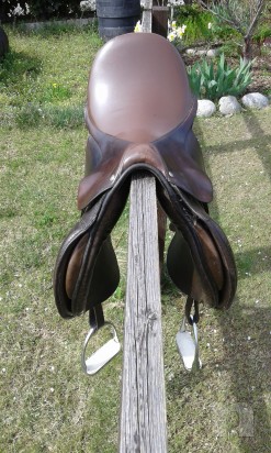 Sella Cavallo Pariani foto-15837