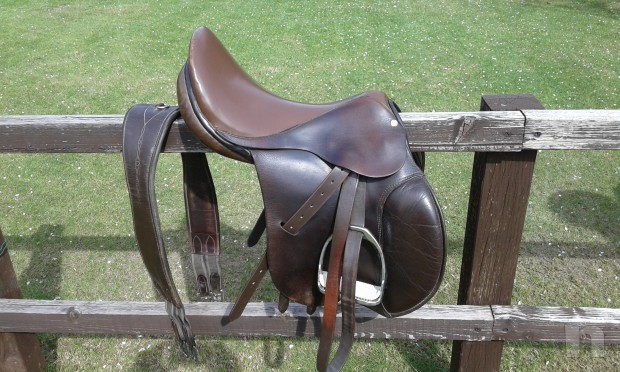 Sella Cavallo Pariani foto-15838
