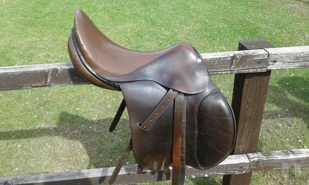Sella Cavallo Pariani foto-8721