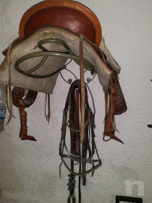 Sella americana El Cuero foto-16042