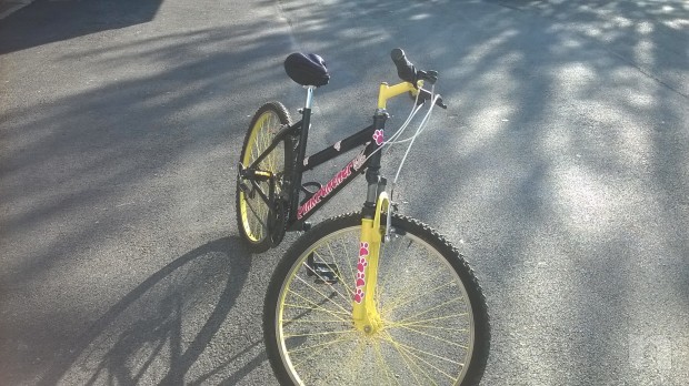 MTB bellissima foto-16047