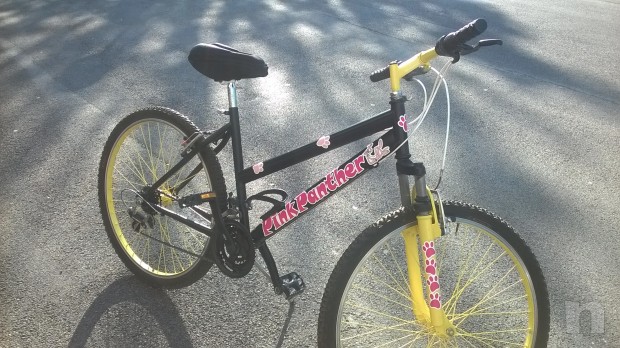 MTB bellissima foto-16048