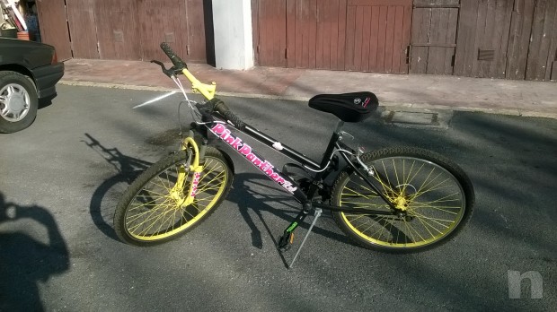 MTB bellissima foto-8805