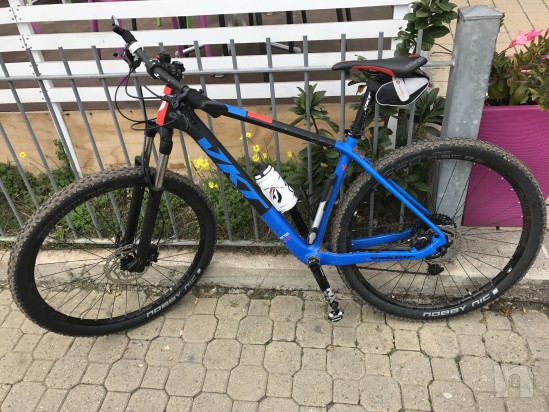 MTB VEKTOR 29 carbonio foto-8812