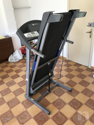 Tapirulan eletrico foto-16209