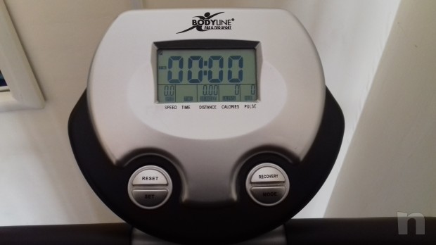 Tapirulan magnetico  foto-16210