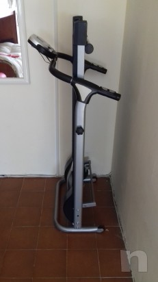 Tapirulan magnetico  foto-16212