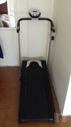 Tapirulan magnetico  foto-8881