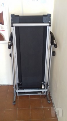 Tapirulan magnetico  foto-16211