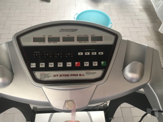 Tapirulan  foto-16220