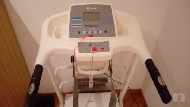 Tapirulan con cintura vibrante foto-8951