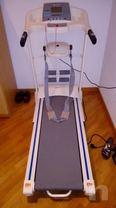 Tapirulan con cintura vibrante foto-16359