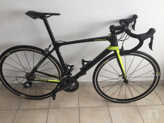 Bici corsa  foto-9032