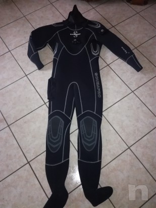 Muta stagna foto-9041