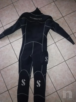 Muta stagna foto-16569