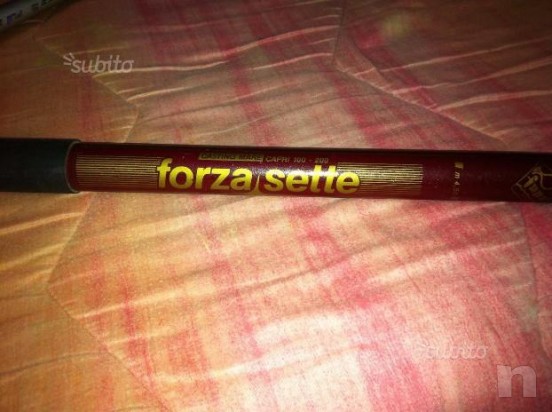 canne da pesca foto-16572