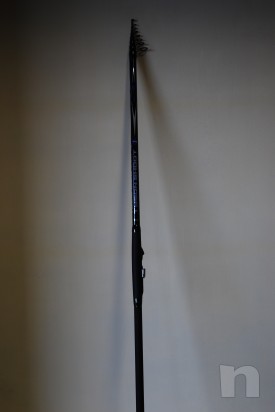 Canna bolognese Milo foto-9120