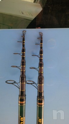  canne da pesca Italcanna Evoluzione mt 4.40  foto-1253