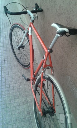  Fixed / Scatto fisso Fiammante foto-16750