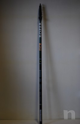 Canna bolognese foto-9170