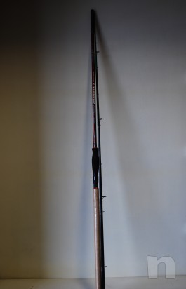 Canna feeder  foto-9173