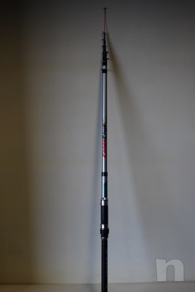 Canna bolognese foto-9192