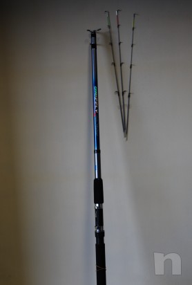 Canna bolognese universale foto-9193