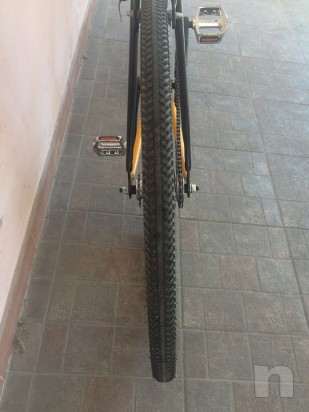 vendo bici fixed o ruota libera, prezzo trattabile foto-16806
