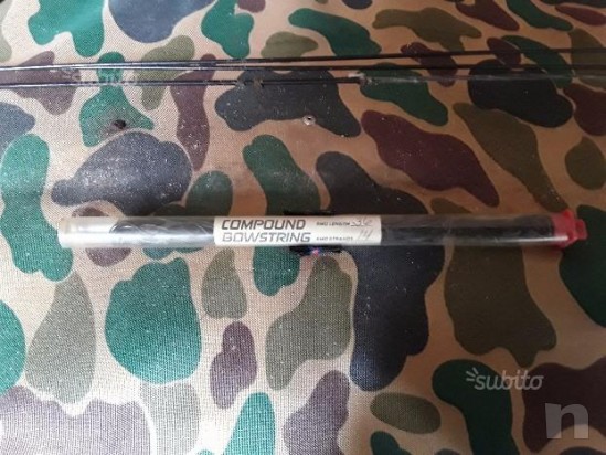 Arco compound  foto-16876