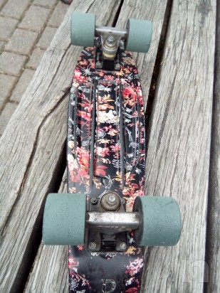Skate Penny foto-9338