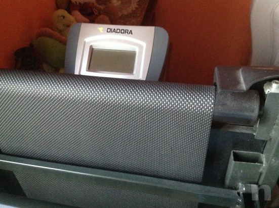 Tapirulan foto-17044