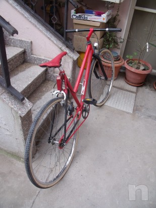 bici single speed  foto-17050