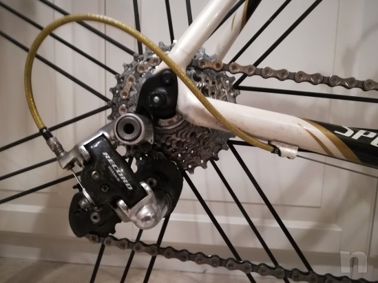 Specialized TARMAC expert  foto-17262