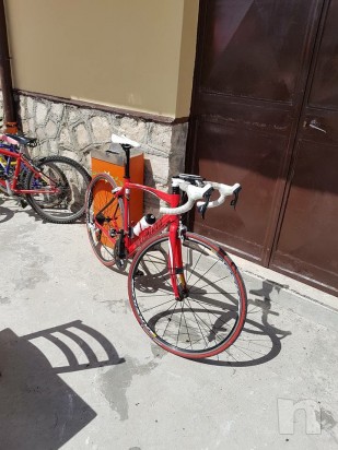 Specialized tamarc foto-9794