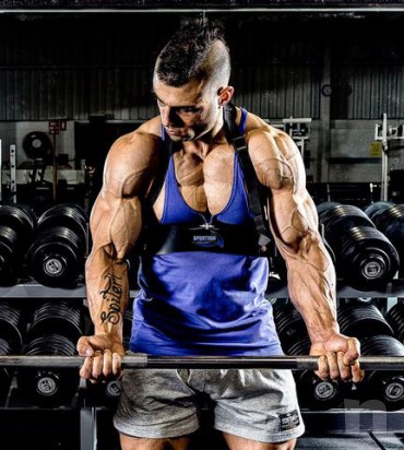 ARM BLASTER Sportech allenamento isolato bicipiti foto-17917