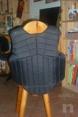 TARTARUGA PROTETTIVA DA EQUITAZIONE foto-17931