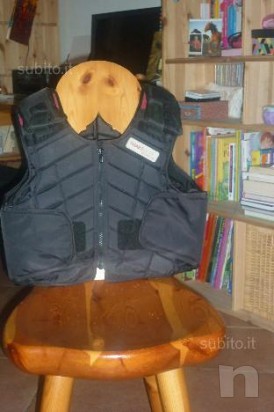 TARTARUGA PROTETTIVA DA EQUITAZIONE foto-9822