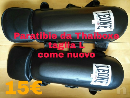 Paratibie Leone  foto-9969