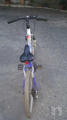 Bici montain bike foto-18213